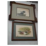Vintage Framed Duck Pics