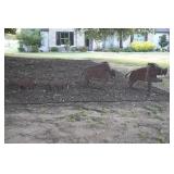 Javalina Family of Hogs "Metal Art"