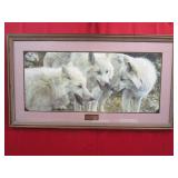 Tundra Summit "Artic Wolves"