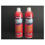 2 Home Fire Extinguishers