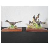 2 Road Runners by Andrea
