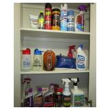 Contents of Garage Cabinet