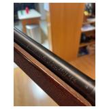 Savage 110 .25-06 Savage 110 .25-06