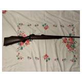 Savage 110 .25-06 Savage 110 .25-06