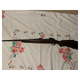 Savage 110 .25-06 Savage 110 .25-06