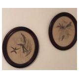 2 Antique Bird Prints in Decorative Frames