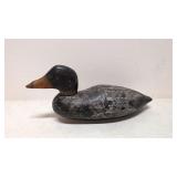 Vintage Coot Black Duck Decoy