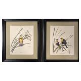 Two Roy Harm Bird Prins - Double signed