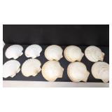 10 Clam Shells