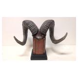 Resin ram Horns Sculpture on pedestal base