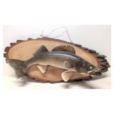 Taxidermy Wallieye Pike