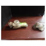 Fossils bison broken and healed leg bone