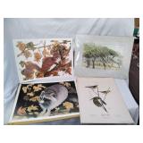 Animal art prints