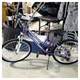 Granitepeak road master purple bike