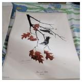 Signed John Ruthven birds print