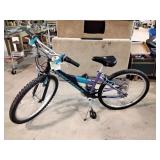 Gary fisher tyro bike