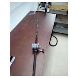 Penn Senator pole and reel
