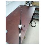 Penn Senator pole and reel