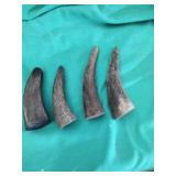 4 stag horns