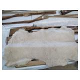 Real Sheep hide