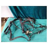 Leather Bridle  / halter