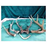 Antlers lot Antlers lot