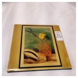 Jonti art decrotive aquatic tile Jonti art decrotive aquatic tile