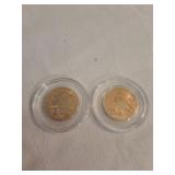 1929 Indian Head Replica