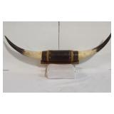 Genuine 32-inch Wall Mount Polished Longhorn