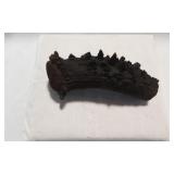 Genuine Elk / Deer Antler Crown Knife Handle