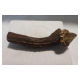 Genuine Elk / Deer Antler Crown Knife Handle