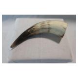 Genuine 7-inch Polished Water Buffalo / Cow Horn