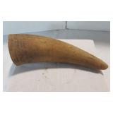 Genuine 7-inch Water Buffalo / Cow Horn