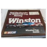 Winston Nascar picture