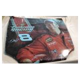 Dale Earnhardt Jr racing hood