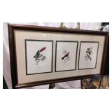 Audubon Birds Collage