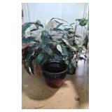 Pair of Artificial Plants and 1 Planter