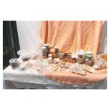 Large Assortment of Shells and Rocks