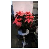 Peach / Pink Poinsetta plant