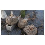 wooden carved pumpkins