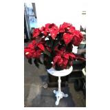 Red and White poiunsetta Plant