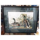 Mallard Ducks Wildlife Print