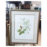 Flowering Dogwood Print