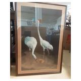 Kevin R. Brant Crane Print