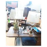 Eclectic Collection of Lamps