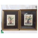 Pair of Botanical Prints in Matching Frames