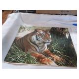 Unframed Photo Of Bengal Tiger