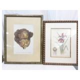 Vintage Botanical Prints