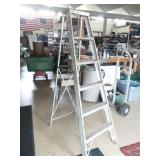 6ft Aluminum Ladder