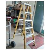 Werner 6ft Electro-Master Ladder